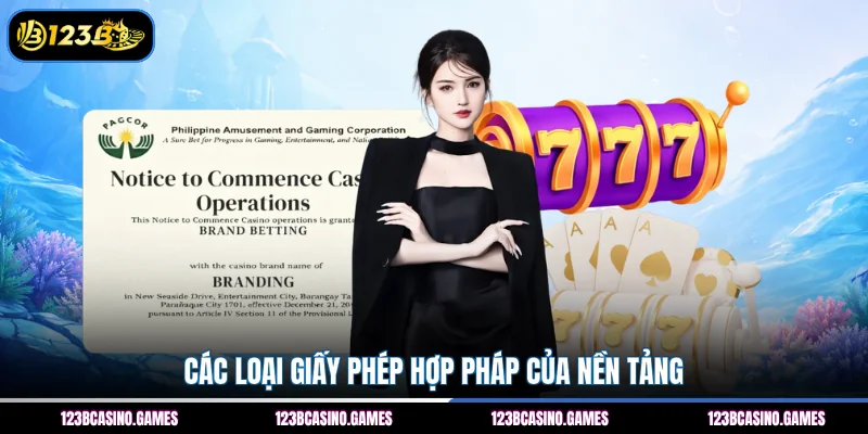 Các loại giấy phép hợp pháp của nền tảng