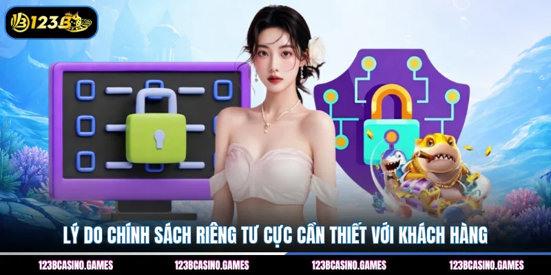 Lý do chính sách riêng tư cực cần thiết với khách hàng
